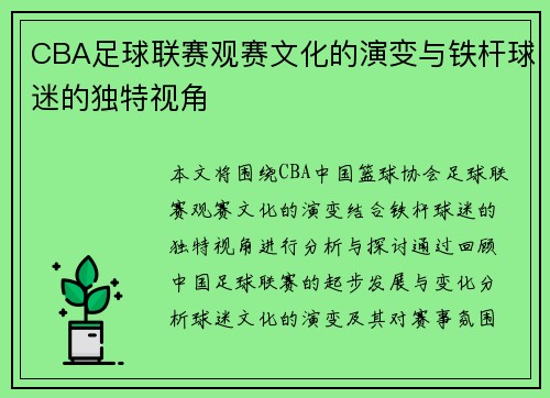 CBA足球联赛观赛文化的演变与铁杆球迷的独特视角