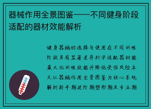 器械作用全景图鉴——不同健身阶段适配的器材效能解析