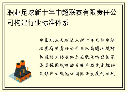 职业足球新十年中超联赛有限责任公司构建行业标准体系